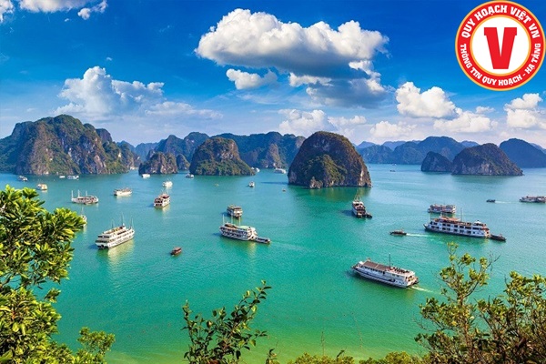 Dịch vụ Kiểm tra Quy hoạch tại tỉnh Quảng Ninh