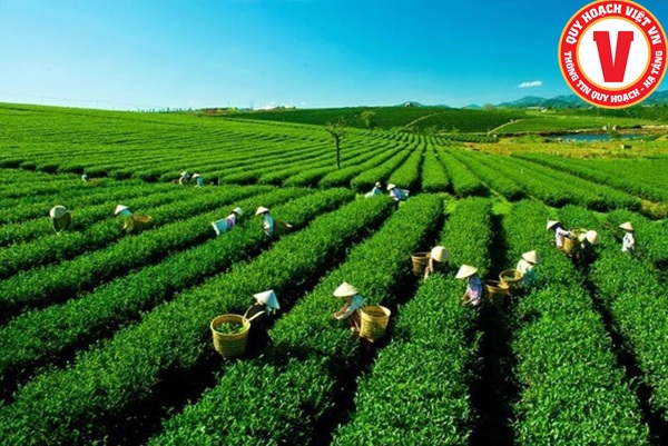 Dịch vụ Kiểm tra Quy hoạch tại tỉnh Thái Nguyên